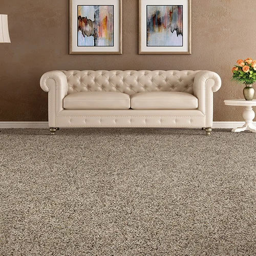 Stafford's Discount Carpets providing stain-resistant pet proof carpet in Redlands, CA